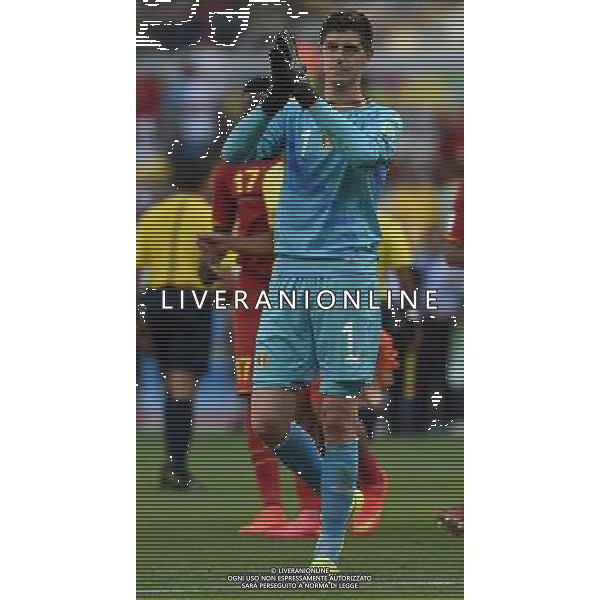 FIFA World Cup Brasile 2014 Gruppo H Belo Horizonte - 17.06.2014 Belgio-Algeria Nella Foto:Courtois Thibaut /Ph.Vitez-Ag. Aldo Liverani