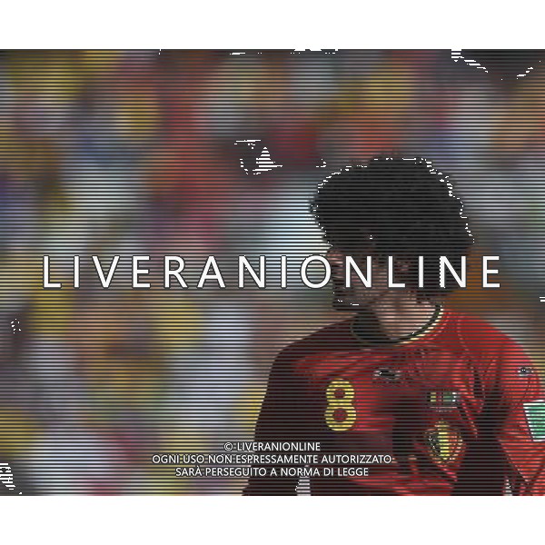 FIFA World Cup Brasile 2014 Gruppo H Belo Horizonte - 17.06.2014 Belgio-Algeria Nella Foto:Fellaini Marouane /Ph.Vitez-Ag. Aldo Liverani