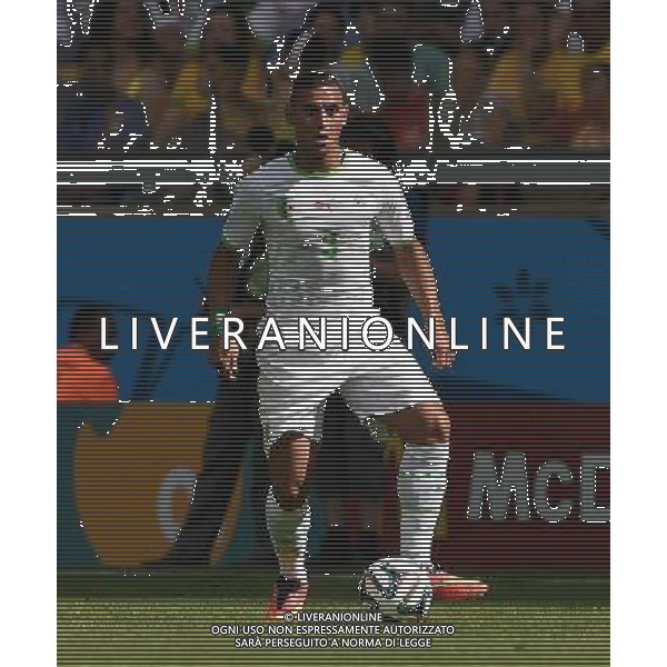 FIFA World Cup Brasile 2014 Gruppo H Belo Horizonte - 17.06.2014 Belgio-Algeria Nella Foto:Ghoulam Faouzi /Ph.Vitez-Ag. Aldo Liverani