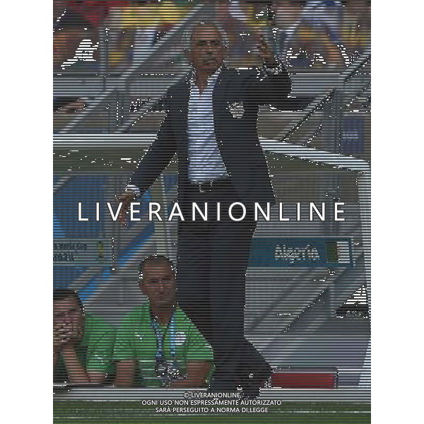 FIFA World Cup Brasile 2014 Gruppo H Belo Horizonte - 17.06.2014 Belgio-Algeria Nella Foto:Halilhodzic Vahid /Ph.Vitez-Ag. Aldo Liverani