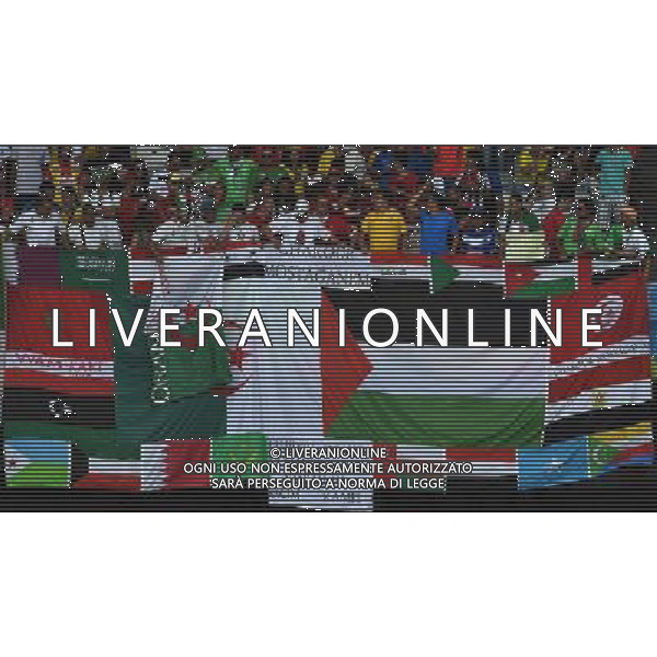 FIFA World Cup Brasile 2014 Gruppo H Belo Horizonte - 17.06.2014 Belgio-Algeria Nella Foto:Tifosi Algeria e Iran /Ph.Vitez-Ag. Aldo Liverani