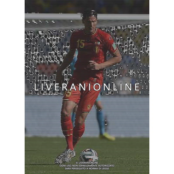 FIFA World Cup Brasile 2014 Gruppo H Belo Horizonte - 17.06.2014 Belgio-Algeria Nella Foto:Van Buyten Daniel /Ph.Vitez-Ag. Aldo Liverani