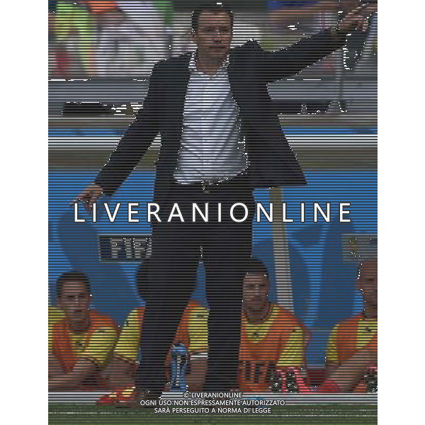 FIFA World Cup Brasile 2014 Gruppo H Belo Horizonte - 17.06.2014 Belgio-Algeria Nella Foto:Wilmots Marc /Ph.Vitez-Ag. Aldo Liverani