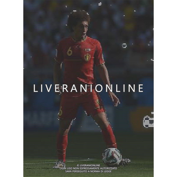 FIFA World Cup Brasile 2014 Gruppo H Belo Horizonte - 17.06.2014 Belgio-Algeria Nella Foto: /Ph.Vitez-Ag. Aldo Liverani