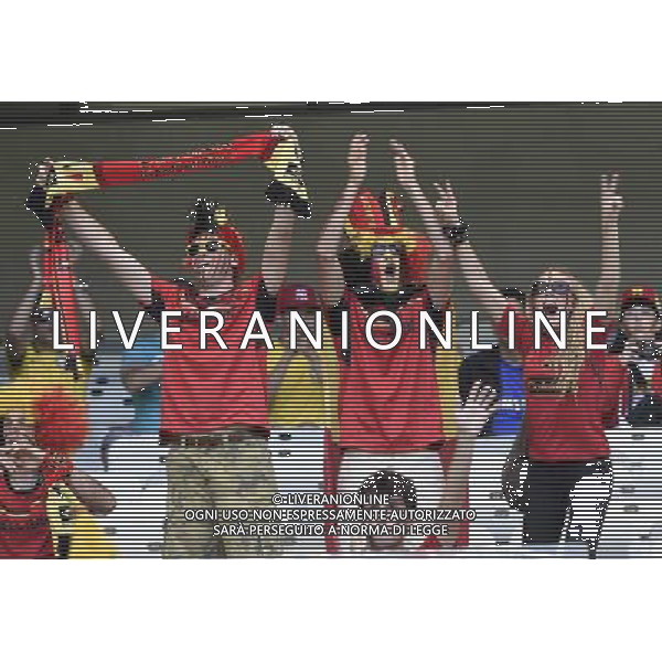 (140617) -- BELO HORIZONTE, June 17, 2014 () -- Belgium\'s fans cheer for their team before a Group H match between Belgium and Algeria of 2014 FIFA World Cup at the Estadio Mineirao Stadium in Belo Horizonte, Brazil, June 17, 2014.(/Qi Heng)(rh) AG ALDO LIVERANI SAS ONLY ITALY