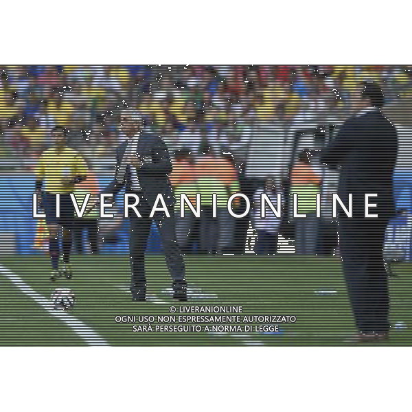 (140617) -- BELO HORIZONTE, June 17, 2014 () -- Algeria\'s coach Vahid Halilhodzic (C) reacts during a Group H match between Belgium and Algeria of 2014 FIFA World Cup at the Estadio Mineirao Stadium in Belo Horizonte, Brazil, June 17, 2014.(/Qi Heng)(rh) AG ALDO LIVERANI SAS ONLY ITALY