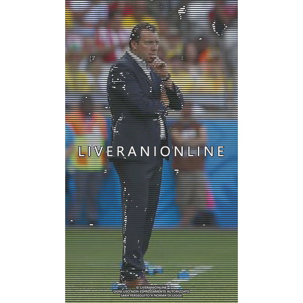 (140617) -- BELO HORIZONTE, June 17, 2014 () -- Belgium\'s head coach Marc Wilmots looks on during a Group H match between Belgium and Algeria of 2014 FIFA World Cup at the Estadio Mineirao Stadium in Belo Horizonte, Brazil, June 17, 2014.(/Liu Bin)(xzj) AG ALDO LIVERANI SAS ONLY ITALY