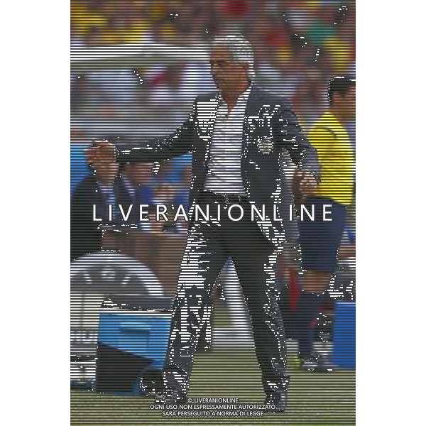 (140617) -- BELO HORIZONTE, June 17, 2014 () --Algeria\'s head coach Vahid Halilhodzic reacts during a Group H match between Belgium and Algeria of 2014 FIFA World Cup at the Estadio Mineirao Stadium in Belo Horizonte, Brazil, June 17, 2014.(/Liu Bin)(xzj) AG ALDO LIVERANI SAS ONLY ITALY