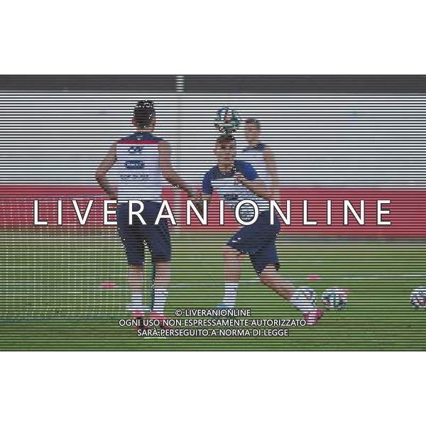 Antoine GRIEZMANN - 17.06.2014 - Entrainement Equipe de France -Riberao Preto Photo : Dave Winter / Icon Sport /Agenzia Aldo Liverani sas - ITALY ONLY - Allenamento della nazionale della Francia Coppa del mondo Brasile 2014
