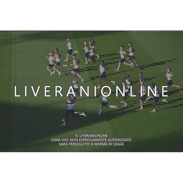 Groupe France - 17.06.2014 - Entrainement Equipe de France -Riberao Preto Photo : Dave Winter / Icon Sport /Agenzia Aldo Liverani sas - ITALY ONLY - Allenamento della nazionale della Francia Coppa del mondo Brasile 2014