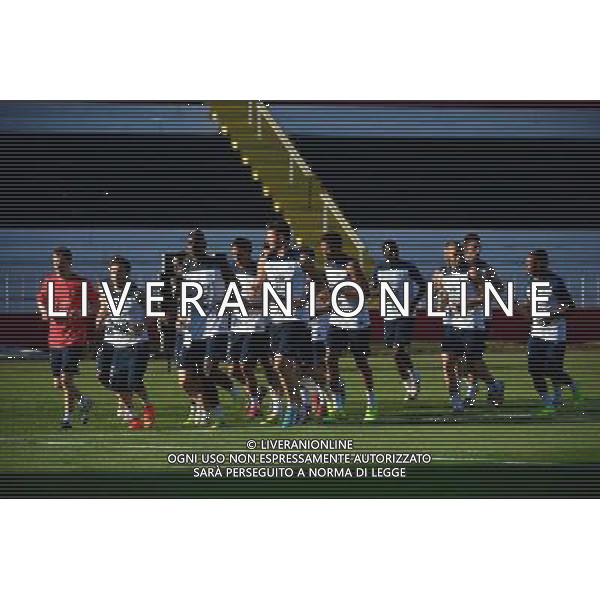 Groupe France - 17.06.2014 - Entrainement Equipe de France -Riberao Preto Photo : Dave Winter / Icon Sport /Agenzia Aldo Liverani sas - ITALY ONLY - Allenamento della nazionale della Francia Coppa del mondo Brasile 2014