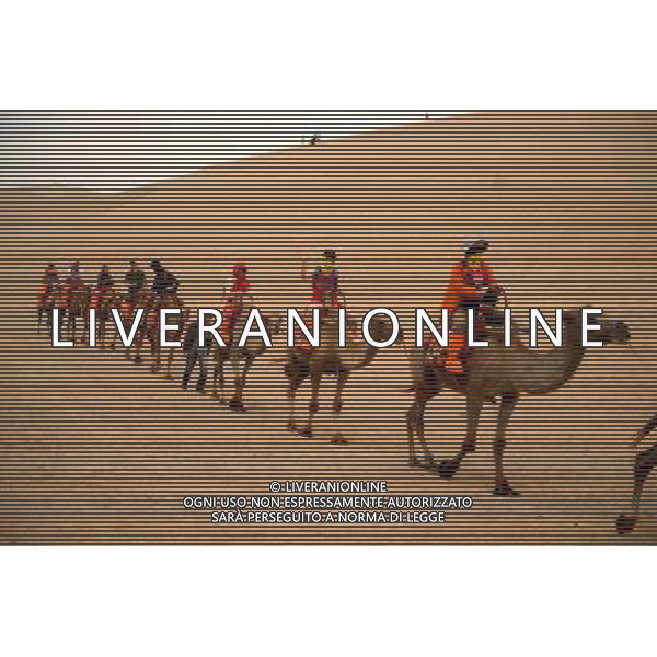 (140618) -- DUNHUANG, June 18, 2014 () -- Tourists ride camels as they visit the Mingshashan, literally \'singing-sand mountain\', an oasis scenic spot in the Gobi Desert in Dunhuang, northwest China\'s Gansu Province, June 17, 2014. (/Nie Jianjiang) (wf) ©PHOTOSHOT/Agenzia Aldo Liverani sas - ITALY ONLY - EDITORIAL USE ONLY - I turisti visitano l\'oasi del deserto, circa 90 km a nord ovest di Dunhuang citta\' lungo l\'antica Via della Seta in della Cina nord-occidentale di Gansu Province, 17 giugno 2014