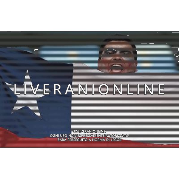 FIFA World Cup Brasile 2014 Gruppo B Rio de Janeiro - 18.06.2014 Spagna-Cile Nella Foto:tifosi /Ph.Vitez-Ag. Aldo Liverani