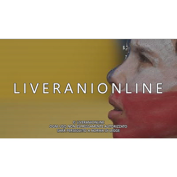 FIFA World Cup Brasile 2014 Gruppo B Rio de Janeiro - 18.06.2014 Spagna-Cile Nella Foto:tifosi /Ph.Vitez-Ag. Aldo Liverani