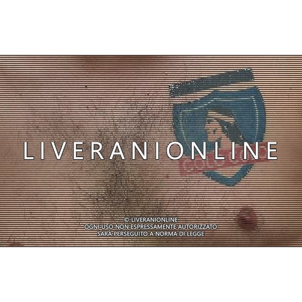 FIFA World Cup Brasile 2014 Gruppo B Rio de Janeiro - 18.06.2014 Spagna-Cile Nella Foto:tifosi /Ph.Vitez-Ag. Aldo Liverani