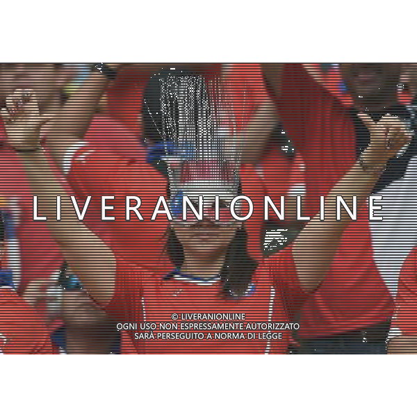 FIFA World Cup Brasile 2014 Gruppo B Rio de Janeiro - 18.06.2014 Spagna-Cile Nella Foto:tifosi /Ph.Vitez-Ag. Aldo Liverani