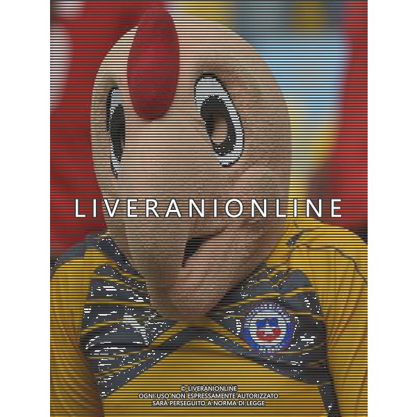 FIFA World Cup Brasile 2014 Gruppo B Rio de Janeiro - 18.06.2014 Spagna-Cile Nella Foto:tifosi /Ph.Vitez-Ag. Aldo Liverani