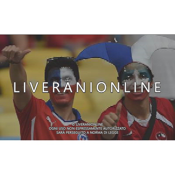 FIFA World Cup Brasile 2014 Gruppo B Rio de Janeiro - 18.06.2014 Spagna-Cile Nella Foto:tifosi /Ph.Vitez-Ag. Aldo Liverani