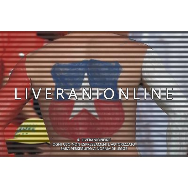 FIFA World Cup Brasile 2014 Gruppo B Rio de Janeiro - 18.06.2014 Spagna-Cile Nella Foto:tifosi /Ph.Vitez-Ag. Aldo Liverani