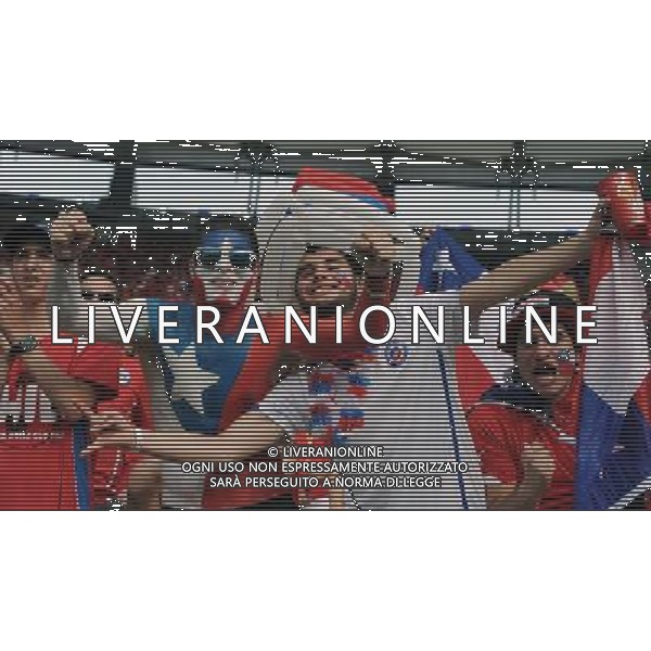 FIFA World Cup Brasile 2014 Gruppo B Rio de Janeiro - 18.06.2014 Spagna-Cile Nella Foto:tifosi /Ph.Vitez-Ag. Aldo Liverani