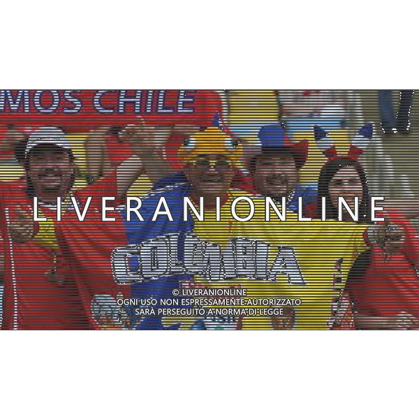 FIFA World Cup Brasile 2014 Gruppo B Rio de Janeiro - 18.06.2014 Spagna-Cile Nella Foto:tifosi /Ph.Vitez-Ag. Aldo Liverani