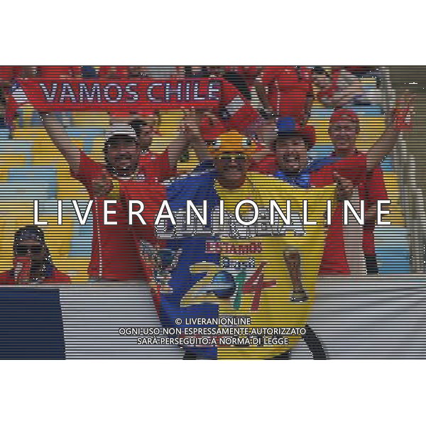 FIFA World Cup Brasile 2014 Gruppo B Rio de Janeiro - 18.06.2014 Spagna-Cile Nella Foto:tifosi /Ph.Vitez-Ag. Aldo Liverani