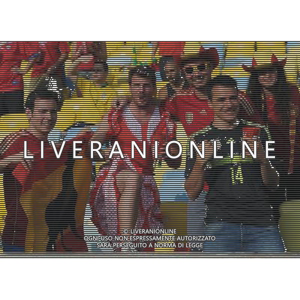 FIFA World Cup Brasile 2014 Gruppo B Rio de Janeiro - 18.06.2014 Spagna-Cile Nella Foto:tifosi /Ph.Vitez-Ag. Aldo Liverani