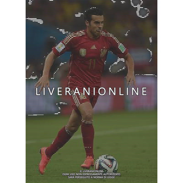 FIFA World Cup Brasile 2014 Gruppo B Rio de Janeiro - 18.06.2014 Spagna-Cile Nella Foto:pedro /Ph.Vitez-Ag. Aldo Liverani