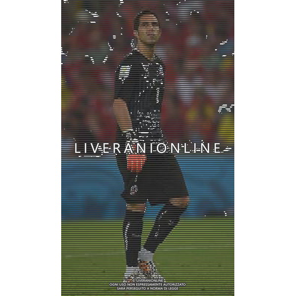 FIFA World Cup Brasile 2014 Gruppo B Rio de Janeiro - 18.06.2014 Spagna-Cile Nella Foto:Bravo Claudio /Ph.Vitez-Ag. Aldo Liverani