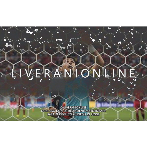 FIFA World Cup Brasile 2014 Gruppo B Rio de Janeiro - 18.06.2014 Spagna-Cile Nella Foto:Casillas Iker /Ph.Vitez-Ag. Aldo Liverani