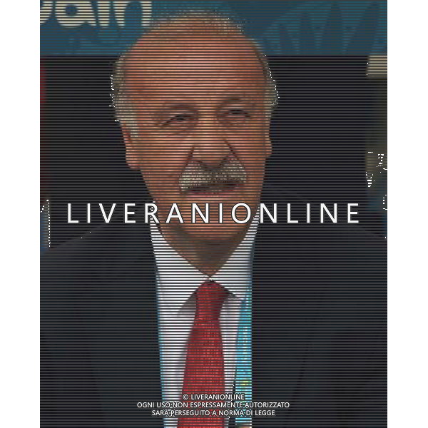 FIFA World Cup Brasile 2014 Gruppo B Rio de Janeiro - 18.06.2014 Spagna-Cile Nella Foto:Del Bosque Vicente /Ph.Vitez-Ag. Aldo Liverani