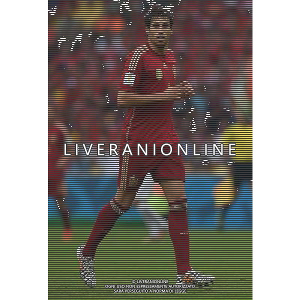 FIFA World Cup Brasile 2014 Gruppo B Rio de Janeiro - 18.06.2014 Spagna-Cile Nella Foto:Martinez Javi /Ph.Vitez-Ag. Aldo Liverani