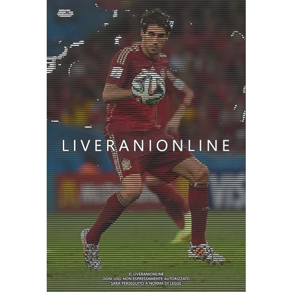 FIFA World Cup Brasile 2014 Gruppo B Rio de Janeiro - 18.06.2014 Spagna-Cile Nella Foto:Martinez Javi /Ph.Vitez-Ag. Aldo Liverani