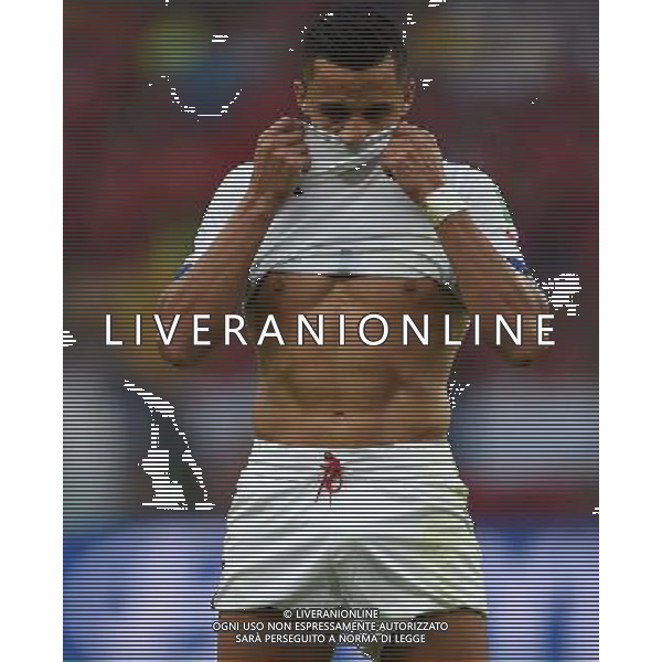 FIFA World Cup Brasile 2014 Gruppo B Rio de Janeiro - 18.06.2014 Spagna-Cile Nella Foto:Sanchez Alexis /Ph.Vitez-Ag. Aldo Liverani