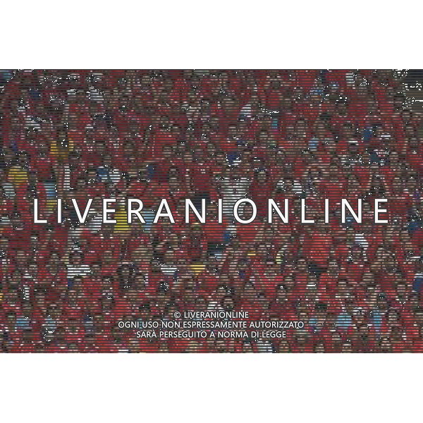 FIFA World Cup Brasile 2014 Gruppo B Rio de Janeiro - 18.06.2014 Spagna-Cile Nella Foto:Tifosi Cile /Ph.Vitez-Ag. Aldo Liverani