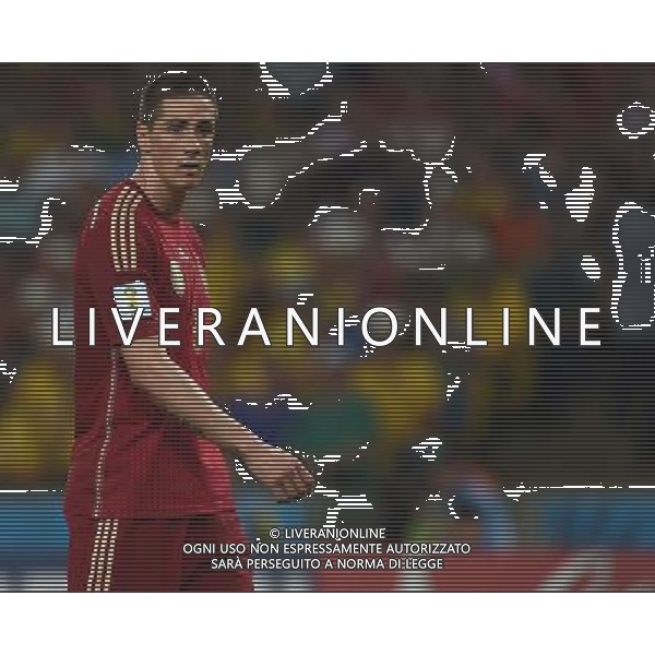 FIFA World Cup Brasile 2014 Gruppo B Rio de Janeiro - 18.06.2014 Spagna-Cile Nella Foto:Torres Fernando /Ph.Vitez-Ag. Aldo Liverani