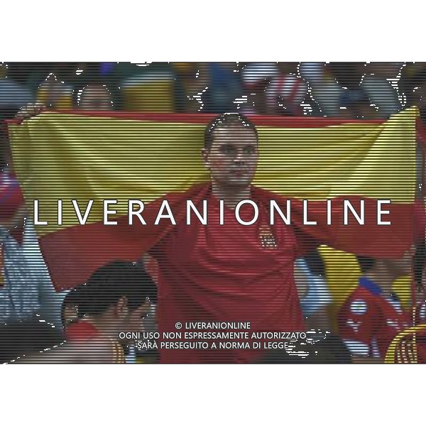 (140618) -- RIO DE JANEIRO, June 18, 2014 () -- A Spain\'s fan reacts after a Group B match between Spain and Chile of 2014 FIFA World Cup at the Estadio do Maracana Stadium in Rio de Janeiro, Brazil, June 18, 2014. Chile won 2-0 over Spain on Wednesday.(/Wang Yuguo)(pcy) ©PHOTOSHOT/Agenzia Aldo Liverani sas - ITALY ONLY - EDITORIAL USE ONLY - Spagna Vs Cile partita del Gruppo B Coppa del Mondo 2014 FIFA a Estadio do Stadio Maracana\' di Rio de Janeiro, in Brasile, 18 Giugno 2014 il Cile ha vinto per 2-0 contro la Spagna