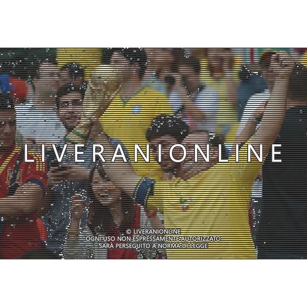 (140618) -- RIO DE JANEIRO, June 18, 2014 () -- A Chile\'s fan holding a replica of 2014 FIFA World Cup Trophy cheers during Group B match between Spain and Chile of 2014 FIFA World Cup at the Estadio do Maracana Stadium in Rio de Janeiro, Brazil, June 18, 2014.(/Wang Yuguo)(pcy) ©PHOTOSHOT/Agenzia Aldo Liverani sas - ITALY ONLY - EDITORIAL USE ONLY - Spagna Vs Cile partita del Gruppo B Coppa del Mondo 2014 FIFA a Estadio do Stadio Maracana\' di Rio de Janeiro, in Brasile, 18 Giugno 2014 il Cile ha vinto per 2-0 contro la Spagna