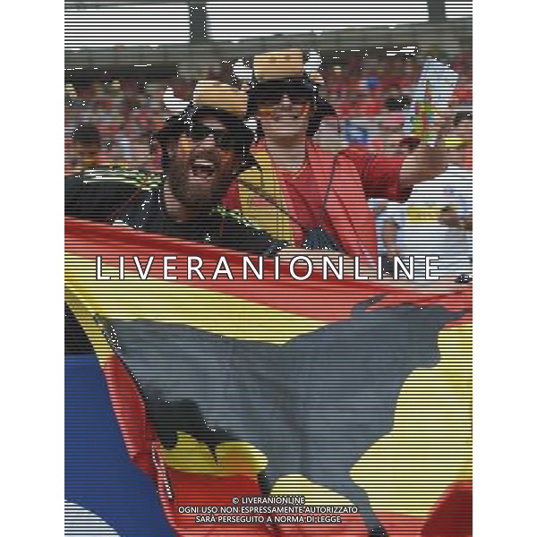 (140618) -- RIO DE JANEIRO, June 18, 2014 () -- Chile\'s fans cheer before a Group B match between Spain and Chile of 2014 FIFA World Cup at the Estadio do Maracana Stadium in Rio de Janeiro, Brazil, June 18, 2014.(/Wang Yuguo)(rh) ©PHOTOSHOT/Agenzia Aldo Liverani sas - ITALY ONLY - EDITORIAL USE ONLY - Spagna Vs Cile partita del Gruppo B Coppa del Mondo 2014 FIFA a Estadio do Stadio Maracana\' di Rio de Janeiro, in Brasile, 18 Giugno 2014 il Cile ha vinto per 2-0 contro la Spagna