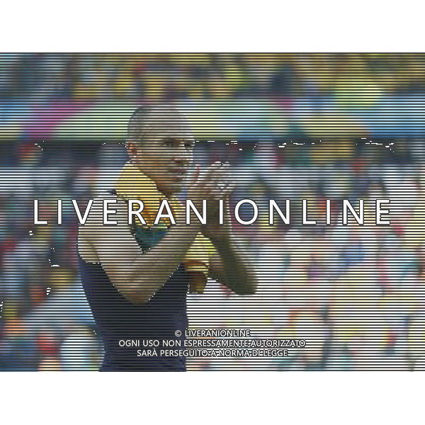 (140618) -- PORTO ALEGRE, June 18, 2014 () -- Netherlands\'s Arjen Robben celebrates the victory after a Group B match between Australia and Netherlands of 2014 FIFA World Cup at the Estadio Beira-Rio Stadium in Porto Alegre, Brazil, June 18, 2014. Nehterlands won 3-2 over Australia on Wednesday.(/Chen Jianli)(rh) ©PHOTOSHOT/Agenzia Aldo Liverani sas - ITALY ONLY - EDITORIAL USE ONLY - Australia v Olanda partita del Gruppo B Coppa del Mondo FIFA 2014 Estadio Beira -Rio Stadium di Porto Alegre, in Brasile, 18 Giugno 2014. Olanda ha vinto per 3-2 contro l\'Australia