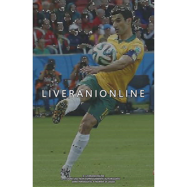 (140618) -- PORTO ALEGRE, June 18, 2014 () -- Australia\'s Mile Jedinak passes the ball during a Group B match between Australia and Netherlands of 2014 FIFA World Cup at the Estadio Beira-Rio Stadium in Porto Alegre, Brazil, June 18, 2014.(/Chen Jianli)(rh) ©PHOTOSHOT/Agenzia Aldo Liverani sas - ITALY ONLY - EDITORIAL USE ONLY - Australia v Olanda partita del Gruppo B Coppa del Mondo FIFA 2014 Estadio Beira -Rio Stadium di Porto Alegre, in Brasile, 18 Giugno 2014. Olanda ha vinto per 3-2 contro l\'Australia