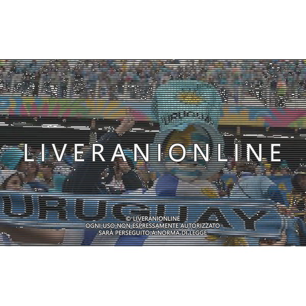 FIFA World Cup Brasile 2014 Gruppo D San Paolo - 19.06.2014 Uruguay-Inghilterra Nella Foto:Tifosi /Ph.Vitez-Ag. Aldo Liverani