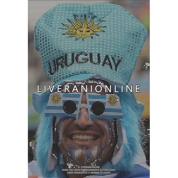 FIFA World Cup Brasile 2014 Gruppo D San Paolo - 19.06.2014 Uruguay-Inghilterra Nella Foto:Tifosi /Ph.Vitez-Ag. Aldo Liverani