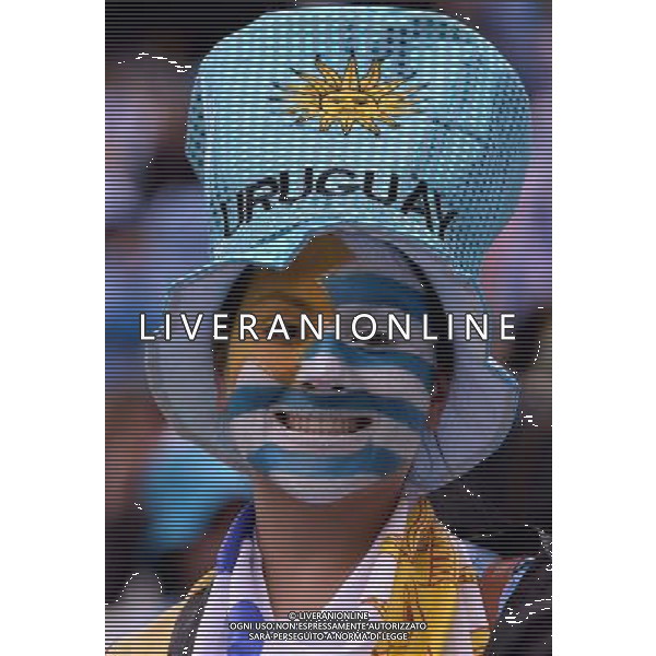 FIFA World Cup Brasile 2014 Gruppo D San Paolo - 19.06.2014 Uruguay-Inghilterra Nella Foto:Tifosi /Ph.Vitez-Ag. Aldo Liverani