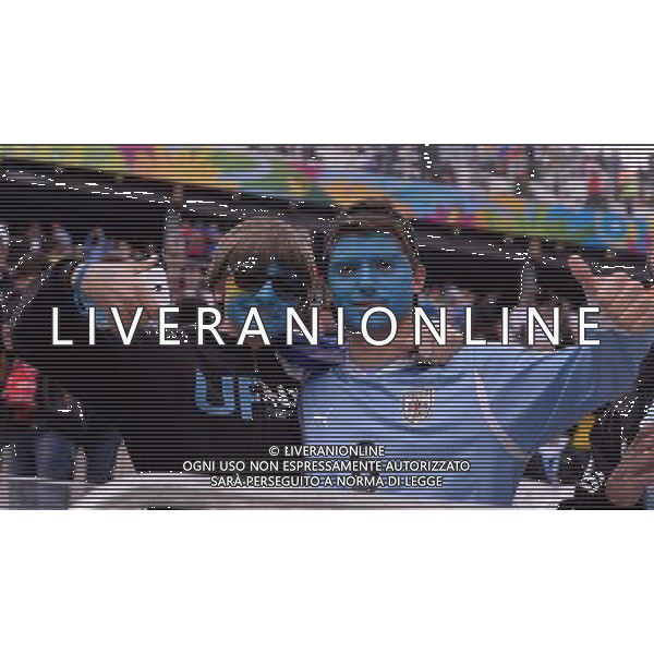 FIFA World Cup Brasile 2014 Gruppo D San Paolo - 19.06.2014 Uruguay-Inghilterra Nella Foto:Tifosi /Ph.Vitez-Ag. Aldo Liverani