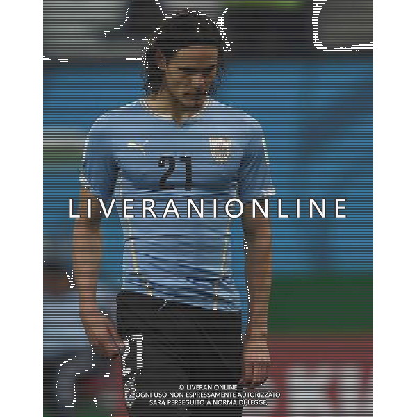 FIFA World Cup Brasile 2014 Gruppo D San Paolo - 19.06.2014 Uruguay-Inghilterra Nella Foto:Cavani Edinson /Ph.Vitez-Ag. Aldo Liverani