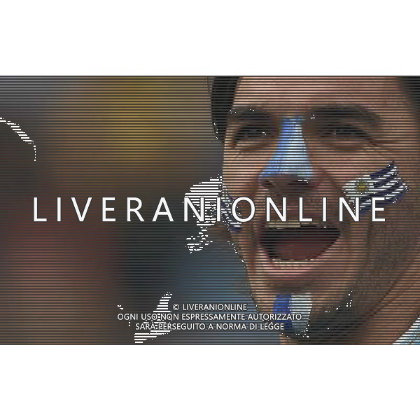 FIFA World Cup Brasile 2014 Gruppo D San Paolo - 19.06.2014 Uruguay-Inghilterra Nella Foto:Tifosi Uruguay /Ph.Vitez-Ag. Aldo Liverani