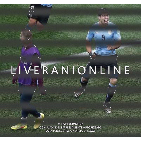 (140619) -- SAO PAULO, June 19, 2014 () -- Uruguay\'s Luis Suarez (R) celebrates the goal during a Group D match between Uruguay and England of 2014 FIFA World Cup at the Arena de Sao Paulo Stadium in Sao Paulo, Brazil, June 19, 2014.(/Liao Yujie)(rh) 2014 FIFA World Cup Brazil Group D match between Uruguay and England at Arena de Sao Paulo on June 19, 2014 in Sao Paulo, Brazil. ©photoshot/Agenzia Aldo Liverani sas - ITALY ONLY - EDITORIAL USE ONLY