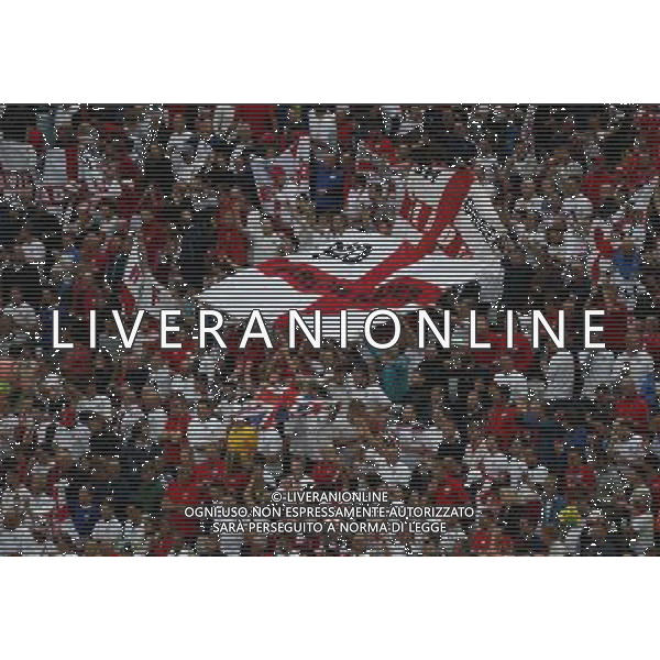 (140619) -- SAO PAULO, June 19, 2014 () -- England\'s fans cheer before a Group D match between Uruguay and England of 2014 FIFA World Cup at the Arena de Sao Paulo Stadium in Sao Paulo, Brazil, June 19, 2014.(/Liao Yujie)(pcy) 2014 FIFA World Cup Brazil Group D match between Uruguay and England at Arena de Sao Paulo on June 19, 2014 in Sao Paulo, Brazil. ©photoshot/Agenzia Aldo Liverani sas - ITALY ONLY - EDITORIAL USE ONLY