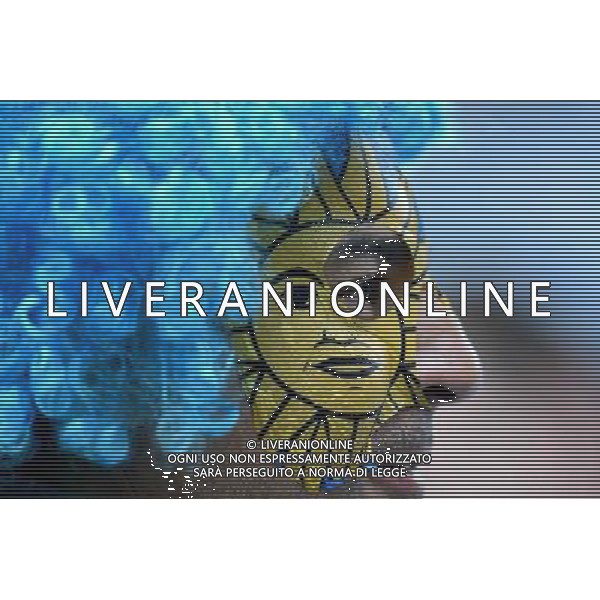 (140619) -- SAO PAULO, June 19, 2014 () -- An Uruguay\'s fan is seen before a Group D match between Uruguay and England of 2014 FIFA World Cup at the Arena de Sao Paulo Stadium in Sao Paulo, Brazil, June 19, 2014.(/Li Ga)(pcy) 2014 FIFA World Cup Brazil Group D match between Uruguay and England at Arena de Sao Paulo on June 19, 2014 in Sao Paulo, Brazil. ©photoshot/Agenzia Aldo Liverani sas - ITALY ONLY - EDITORIAL USE ONLY